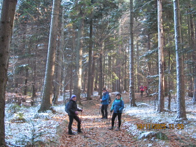 Spacer po Beskidzie Śląskim – Rogacz i Magurka Wilkowicka | 10