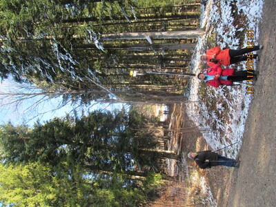 Spacer po Beskidzie Śląskim – Rogacz i Magurka Wilkowicka | 2