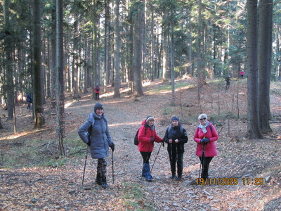 Spacer po Beskidzie Śląskim – Rogacz i Magurka Wilkowicka | 12