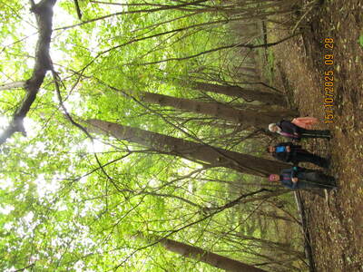 Wycieczka turystyczna -Żywiec Góra Grojec - Droga Krzyżowa | 23