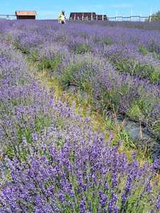 Wycieczka rowerowa 30.06.25 | 1