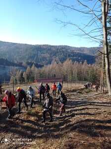 Leskowiec 05 luty 2025 r. | 2