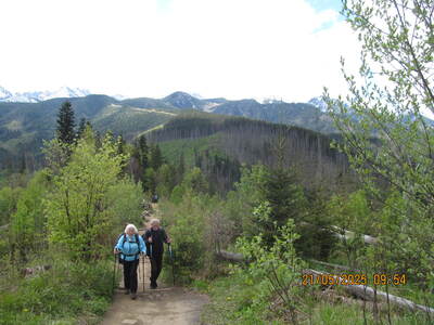 Nosal – Dolina Olczyska – Jaszczurówka 21 maja 2025 r. Wycieczka | 2