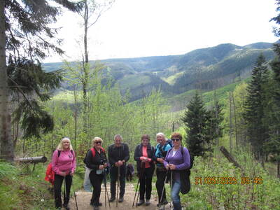 Nosal – Dolina Olczyska – Jaszczurówka 21 maja 2025 r. Wycieczka | 10