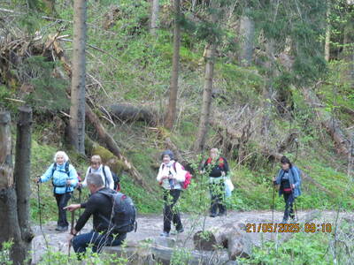Nosal – Dolina Olczyska – Jaszczurówka 21 maja 2025 r. Wycieczka | 13