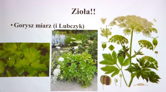 “Kwaki, mięty, kurdybanki czyli dania spod Złotej Górki” - wykład dra Przemysława Płonki | 12