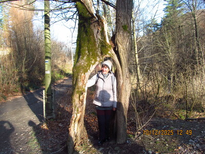 Dębowiec Zapora Wapiennica 10 Grudzień 2025 r. | 5