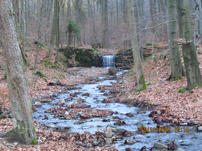 Dębowiec Zapora Wapiennica 10 Grudzień 2025 r. | 6