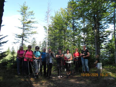 Spacer po Beskidzie Małym – Klimoska – Potrójna (10.09.2025) | 4