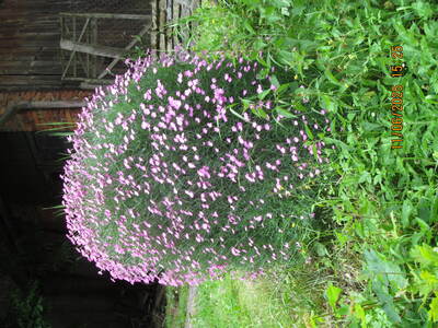 Wycieczki turystycznej – 11 czerwca 2025 r. | 1