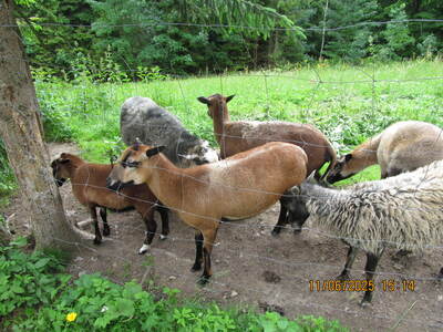 Wycieczki turystycznej – 11 czerwca 2025 r. | 1