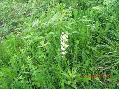 Wycieczki turystycznej – 11 czerwca 2025 r. | 5