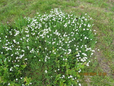 Wycieczki turystycznej – 11 czerwca 2025 r. | 8