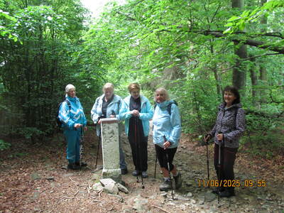 Wycieczki turystycznej – 11 czerwca 2025 r. | 12