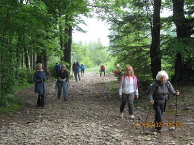 Wycieczki turystycznej – 11 czerwca 2025 r. | 1