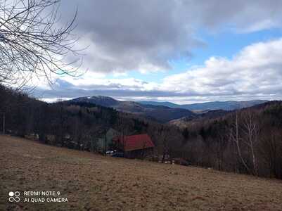 Bukowiec - Trzonka 29 Styczeń 2025 r. | 2