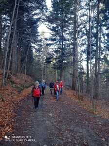 Bukowiec - Trzonka 29 Styczeń 2025 r. | 3