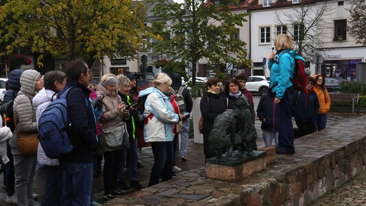 OLKUSZ - PUSTYNIA BŁĘDOWSKA - RABSZTYN - wycieczka autokarowa 14.10.2026 | 41