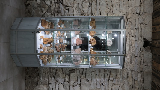 WYCIECZKA NA ZAMEK TENCZYN I DO ALWERNI | 15