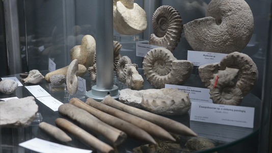 WYCIECZKA NA ZAMEK TENCZYN I DO ALWERNI | 16