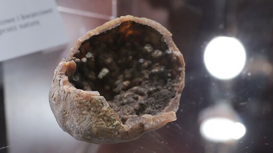 WYCIECZKA NA ZAMEK TENCZYN I DO ALWERNI | 23