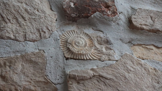 WYCIECZKA NA ZAMEK TENCZYN I DO ALWERNI | 31