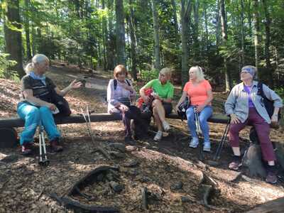 Leskowiec - Potrójna 18 Czerwiec 2025 r. wycieczka turystyczna | 2