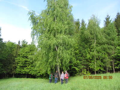 Majówka Wielka Puszcza Długie Łąki 07 Maj 2025 r | 2