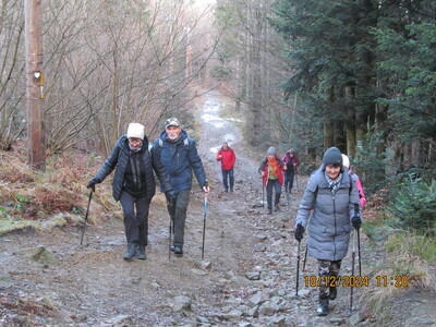 Leskowiec 18 Grudzień 2024 r. | 2