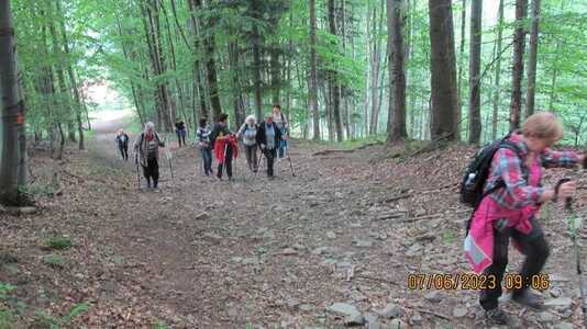 Bolęcina - Jawornica - Potrójna 7 czerwca | 3