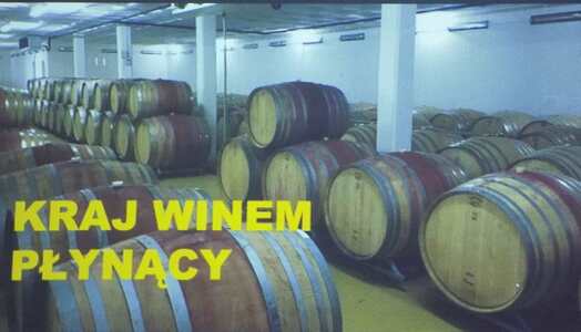 Afryka południowa RPA. wykład : mgr Bartosz Demczuk | 2