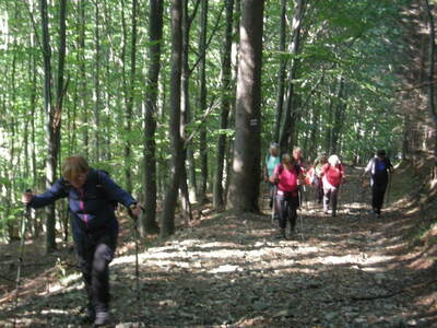 Rogacz Magurka Wilkowicka wycieczka - turystyka | 2