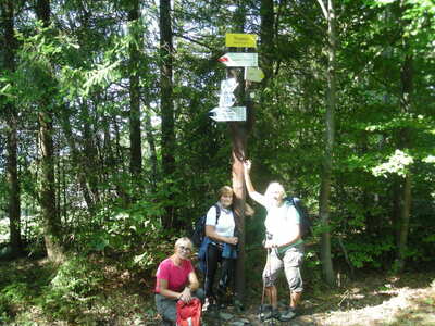 Rogacz Magurka Wilkowicka wycieczka - turystyka | 2