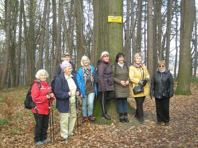 Spacer po Pańskiej Górze – Wieża Widokowa 12 listopada 2025 r. | 1