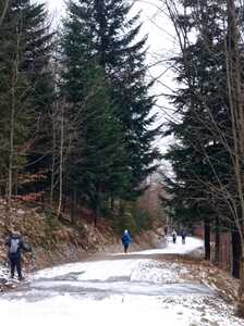 Hrobacza Łąka 12 Luty 2025 r.- grupa turystyczna | 13