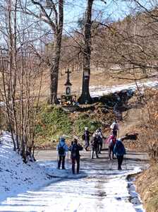 Zimowy spacer po Zagórniku 19 Luty 2025 r. | 4