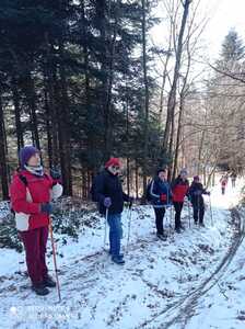 Zimowy spacer po Zagórniku 19 Luty 2025 r. | 4