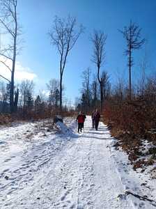 Zimowy spacer po Zagórniku 19 Luty 2025 r. | 2