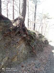 Zagórnik Wapiennik 09 Kwiecień 2025 r. - turystyka | 3