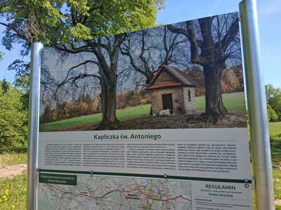 Sekcja rowerowa 2 maj 2025 r | 1