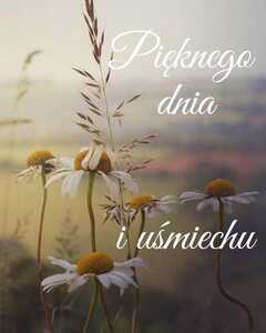 XII Międzynarodowe Senioralia w Krakowie | 1