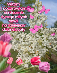 XII Międzynarodowe Senioralia w Krakowie | 2