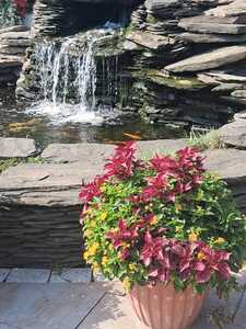 Wycieczka rowerowa 1.09 25 r. | 4