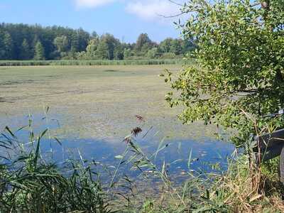 Wycieczka rowerowa 1.09 25 r. | 2