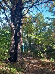 Sekcja rowerowa 20.X.25r -wycieczka | 2