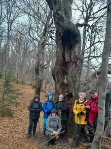 Leskowiec, 17 grudnia 2025 - wycieczka środowa | 4