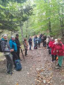 Leskowiec 14 Październik 2026 r. | 4