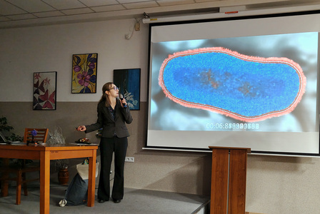 „Kamienna zupa i antybiotyki