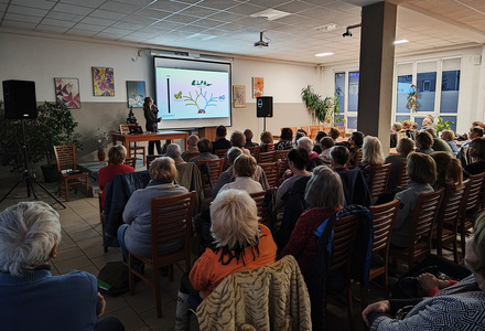 „Kamienna zupa i antybiotyki