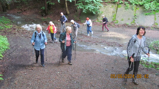 5 czerwca 2024 r.  Bolęcina - Jawornica - Potrójna | 1